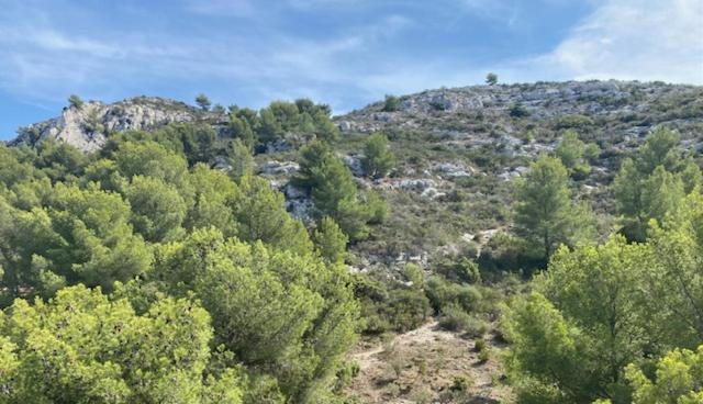 Apartment Grand T2, Lumineux, Au Calme, Au Pied Des Calanques, Proche *